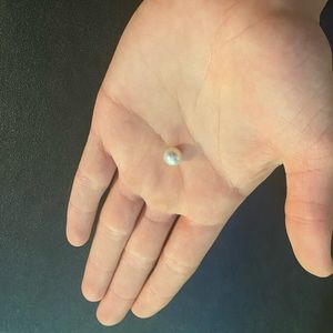 🤍🌊AUTHENTIC UNMODIFIED INTACT AKOYA PEARL🌊🤍